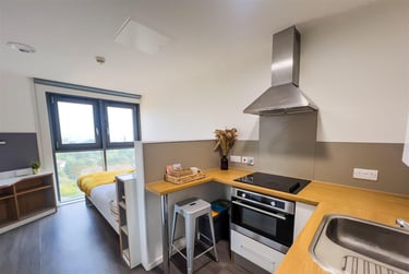 1 bed studio, North Hanover Street, Glasgow, G40PY - Image 6